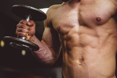 Muscle Building 101: The Fundamentals You Need to Know
