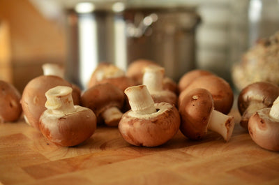 Superfood with Super Benefits: Why Men Need Mushrooms Now
