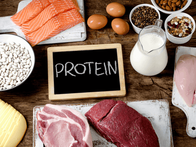 Excess Protein Effects in Resistance (Trained Individuals)