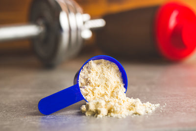 5 Ways on How to Choose the Best Protein Powder for You